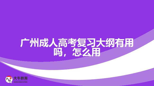 廣州成人高考復(fù)習(xí)大綱有用嗎，怎么用