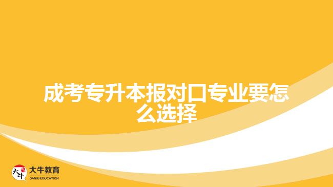 成考專(zhuān)升本報(bào)對(duì)口專(zhuān)業(yè)要怎么選擇