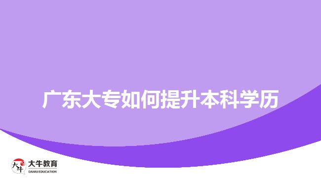 廣東大專(zhuān)如何提升本科學(xué)歷