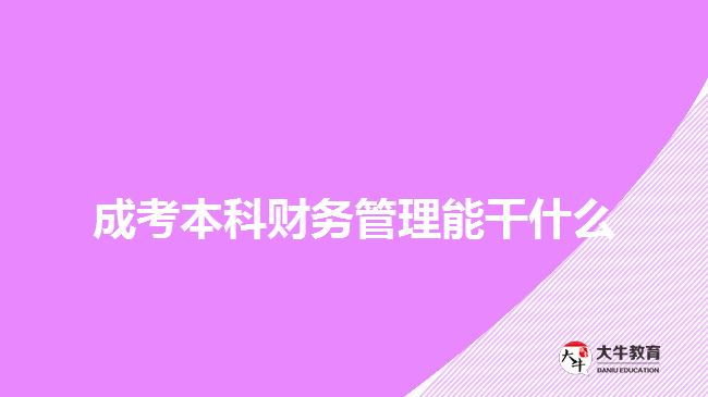 成考本科財務(wù)管理能干什么