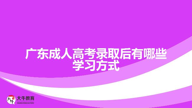 廣東成人高考錄取后有哪些學(xué)習方式