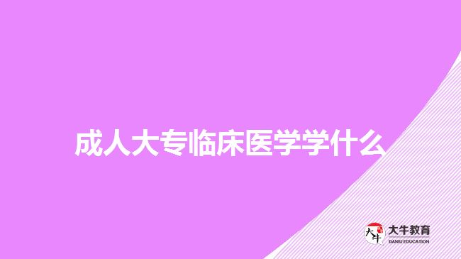 成人大專臨床醫(yī)學學什么
