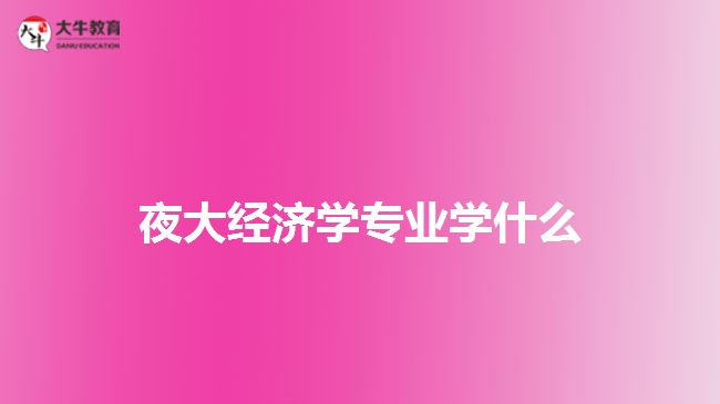 夜大經濟學專業(yè)學什么
