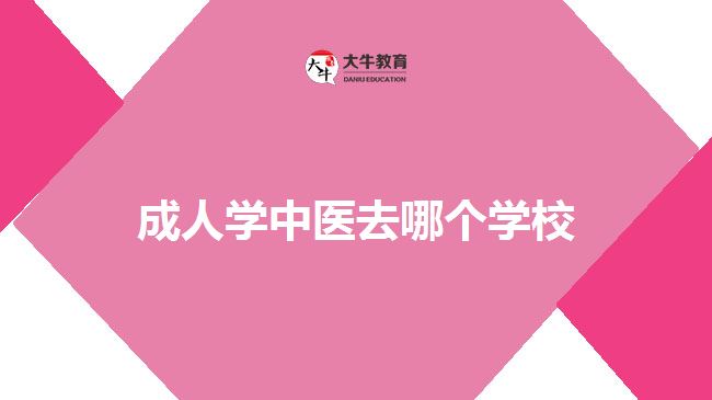 成人學(xué)中醫(yī)去哪個(gè)學(xué)校