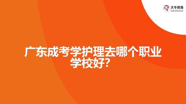 廣東成考學(xué)護(hù)理去哪個(gè)職業(yè)學(xué)校好？