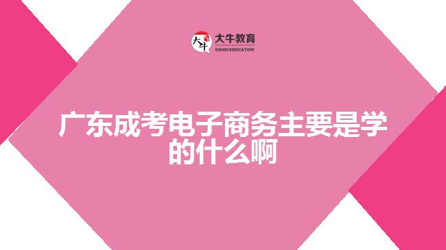 廣東成考電子商務主要是學的什么啊