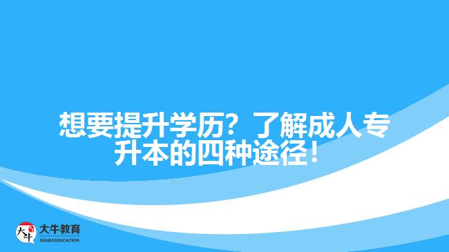 想要提升學歷？了解成人專升本的四種途徑！