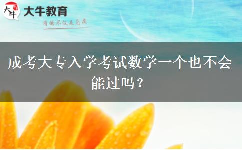 成考大專入學(xué)考試數(shù)學(xué)一個(gè)也不會(huì)能過嗎？