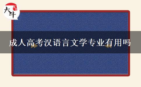 成人高考漢語(yǔ)言文學(xué)專(zhuān)業(yè)有用嗎