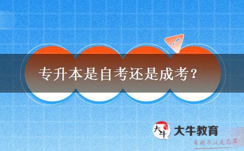 專升本是自考還是成考？