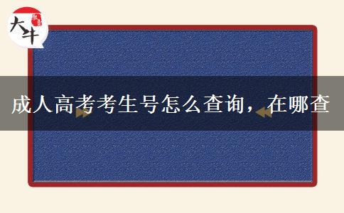 成人高考考生號(hào)怎么查詢，在哪查