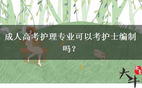 成人高考護(hù)理專業(yè)可以考護(hù)士編制嗎？