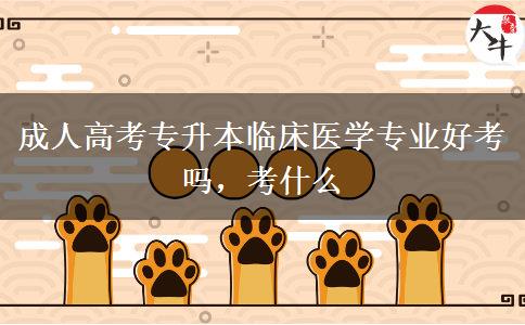 成人高考專升本臨床醫(yī)學專業(yè)好考嗎，考什么