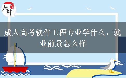 成人高考軟件工程專業(yè)學(xué)什么，就業(yè)前景怎么樣