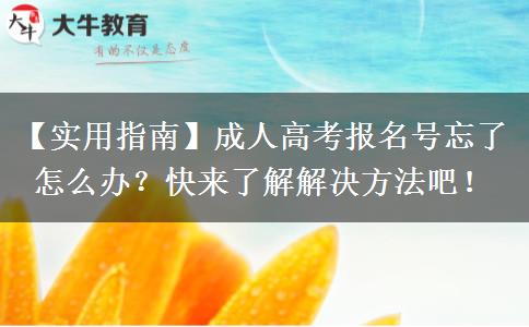 成人高考報(bào)名號忘了怎么辦？