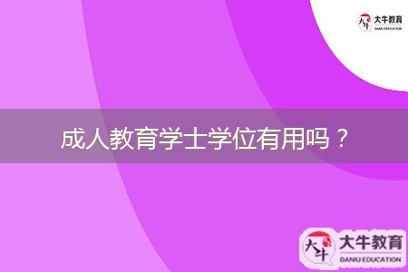 成人教育學(xué)士學(xué)位有用嗎？