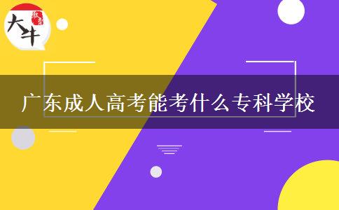 廣東成人高考能考什么?？茖W(xué)校