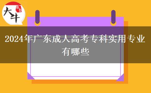 2024年廣東成人高考?？茖?shí)用專業(yè)有哪些
