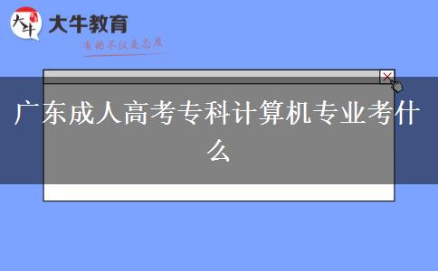 廣東成人高考專科計(jì)算機(jī)專業(yè)考什么