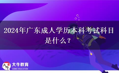 2024年廣東成人學(xué)歷本科考試科目是什么？