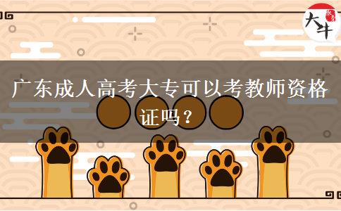 廣東成人高考大?？梢钥冀處熧Y格證嗎？