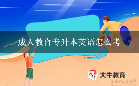 成人教育專(zhuān)升本英語(yǔ)怎么考