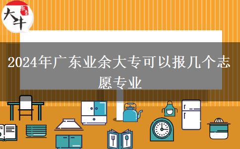 2024年廣東業(yè)余大?？梢詧髱讉€志愿專業(yè)