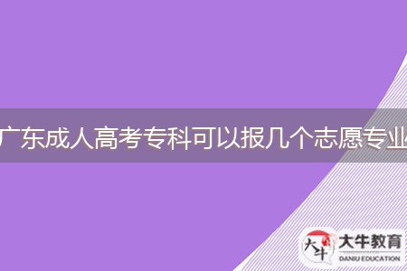 廣東成人高考專(zhuān)科可以報(bào)幾個(gè)志愿專(zhuān)業(yè)