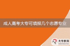 2024年廣東成人高考大?？商顖?bào)幾個(gè)志愿專業(yè)