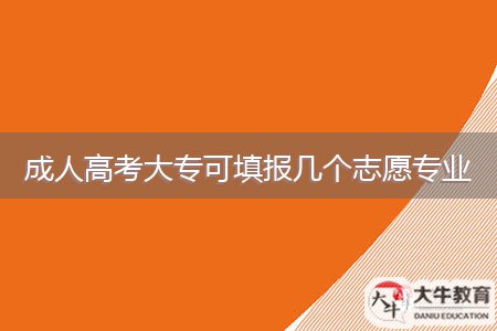 成人高考大?？商顖髱讉€志愿專業(yè)