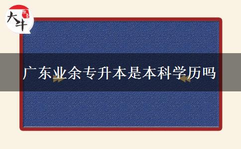 廣東業(yè)余專升本是本科學歷嗎