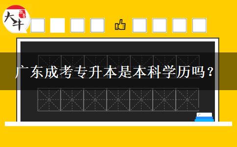 廣東成考專升本是本科學(xué)歷嗎？