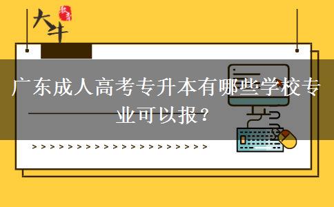 廣東成人高考專升本有哪些學(xué)校專業(yè)可以報？