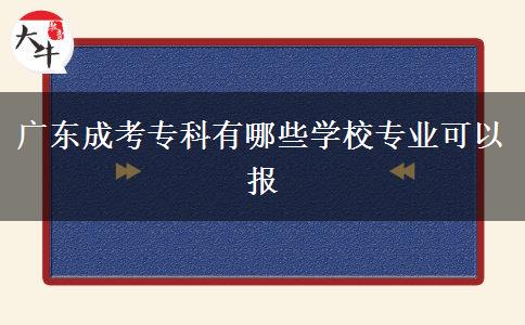 廣東成考?？朴心男W(xué)校專業(yè)可以報(bào)