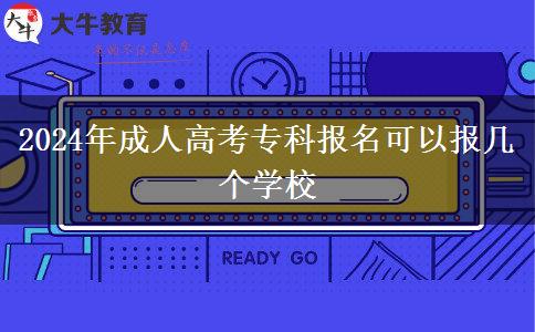2024年成人高考?？茍竺梢詧髱讉€學(xué)校