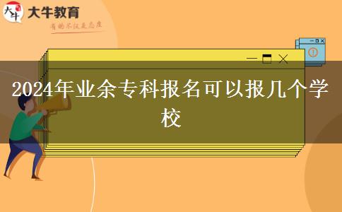 2024年業(yè)余?？茍竺梢詧髱讉€學校
