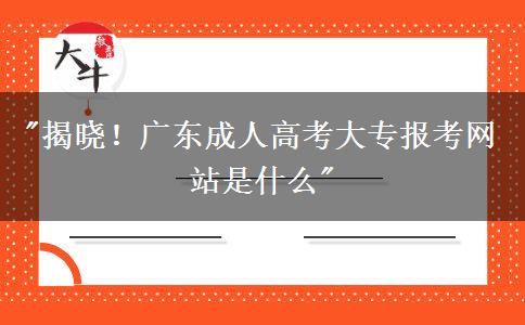 廣東成人高考大專報(bào)考網(wǎng)站是什么