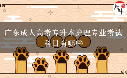 廣東成人高考專(zhuān)升本護(hù)理專(zhuān)業(yè)考試科目有哪些