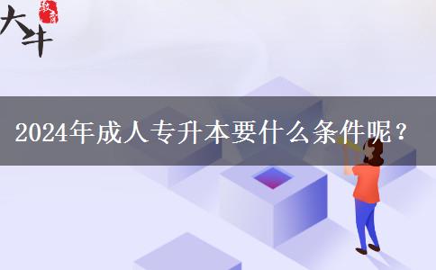 2024年成人專升本要什么條件呢？