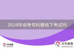 2024年成考?？埔€下考試嗎
