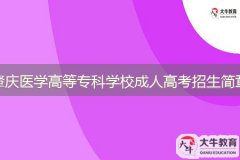 2024年肇慶醫(yī)學高等?？茖W校成人高等教育招生簡章