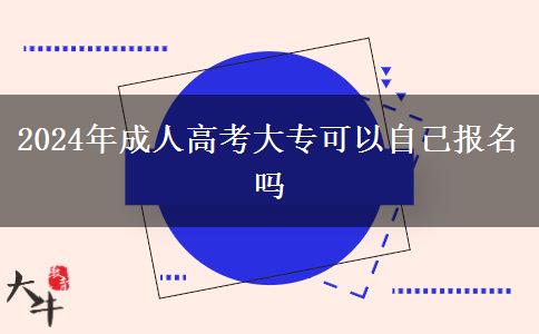 2024年成人高考大?？梢宰约簣竺麊? width='170' height='105'/></a></dt>
						<dd><a href=