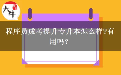 程序員成考提升專升本怎么樣?有用嗎？
