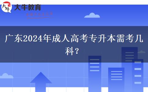 廣東2024年成人高考專升本需考幾科？