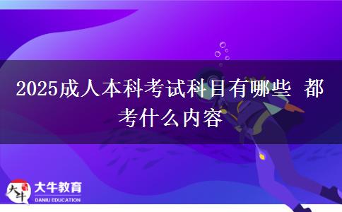 2025成人本科考試科目有哪些 都考什么內容