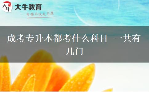 成考專(zhuān)升本都考什么科目 一共有幾門(mén)