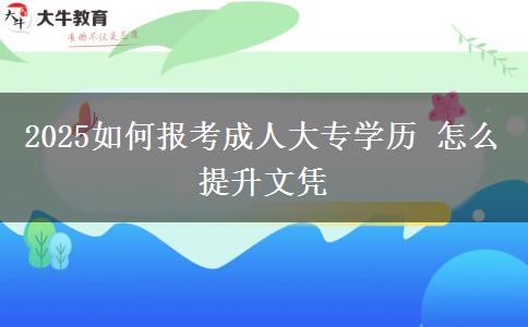 2025如何報(bào)考成人大專(zhuān)學(xué)歷 怎么提升文憑