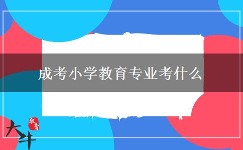成考小學(xué)教育專(zhuān)業(yè)考什么