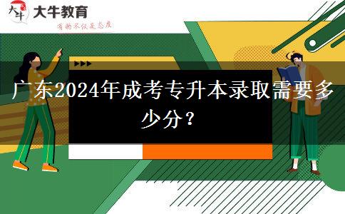 廣東2024年成考專升本錄取需要多少分？