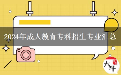 2024年成人教育?？普猩鷮I(yè)匯總